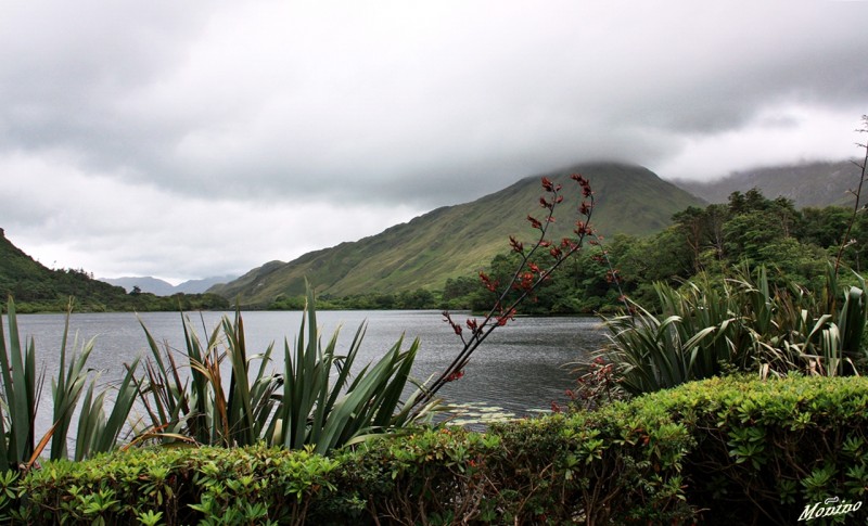 Kylemore Abbey