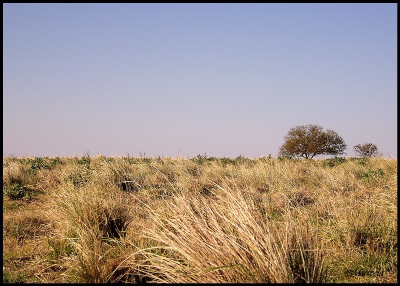 Rural e invernal