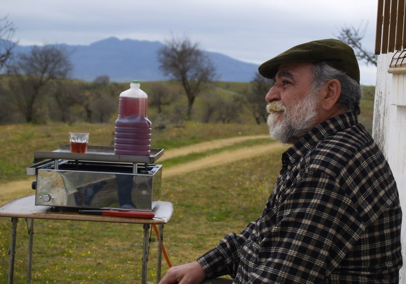 campo, plancha y vino