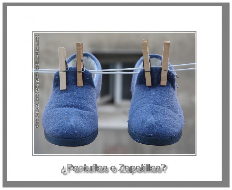 Pantuflas o Zapatillas?