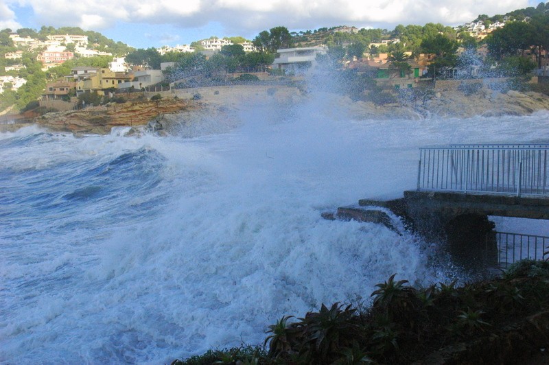 Olas 2