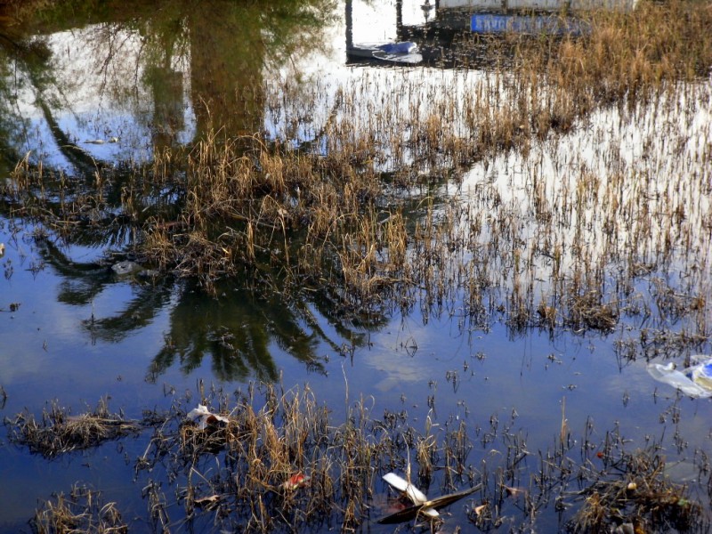 REFLEJOS.....SOBRE EL AGUA