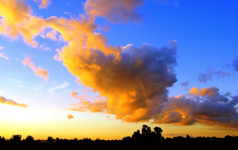 LA ESPUMA DE LA NUBE