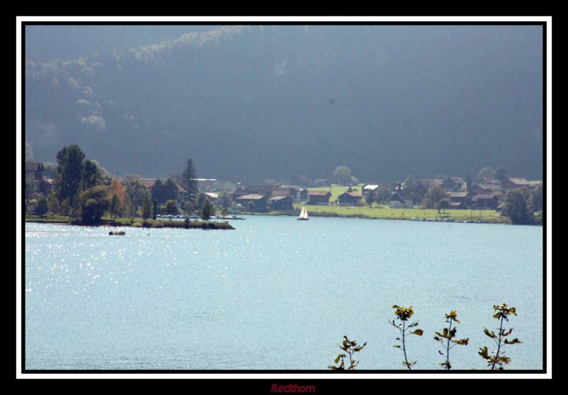 Lago entre la bruma