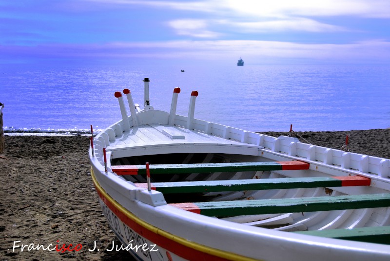 Siempre mirando al mar