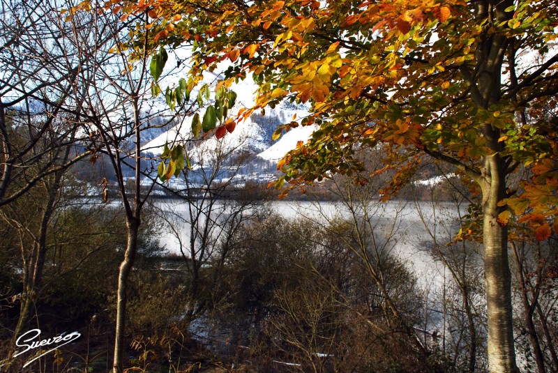 otoo o invierno