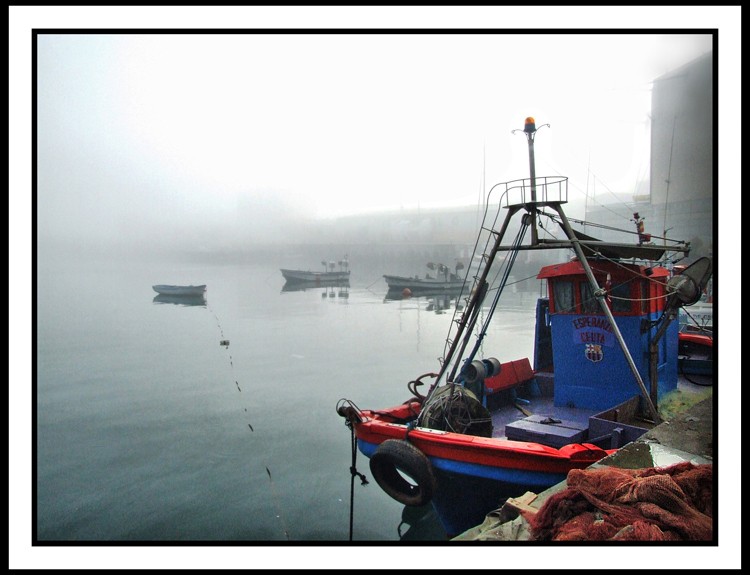 Potente niebla