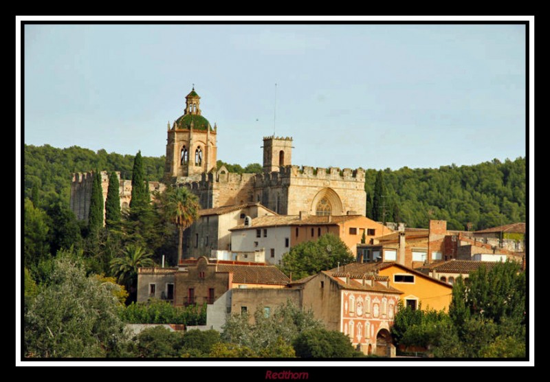 Monasterio Santes Creus