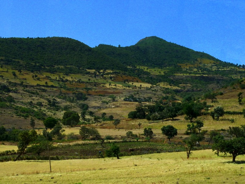 Paisaje rural