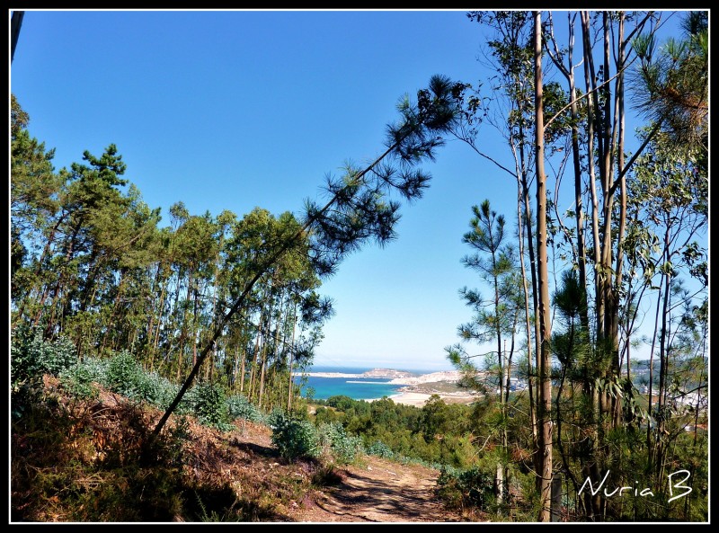 Mar de fondo