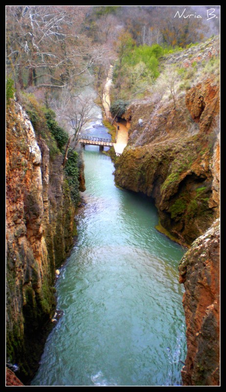 Y al fondo el puente.