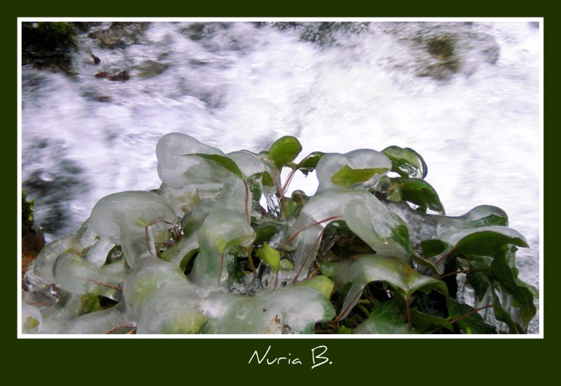 Verde helado.