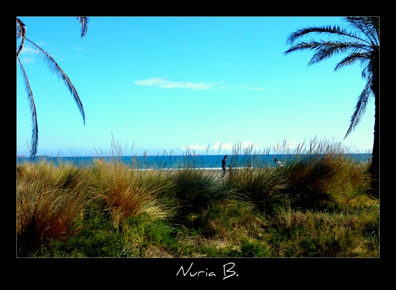 Jugando en la playa