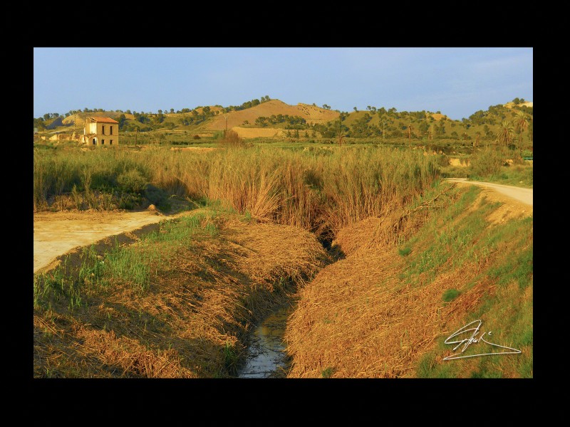 Paisaje al atardecer