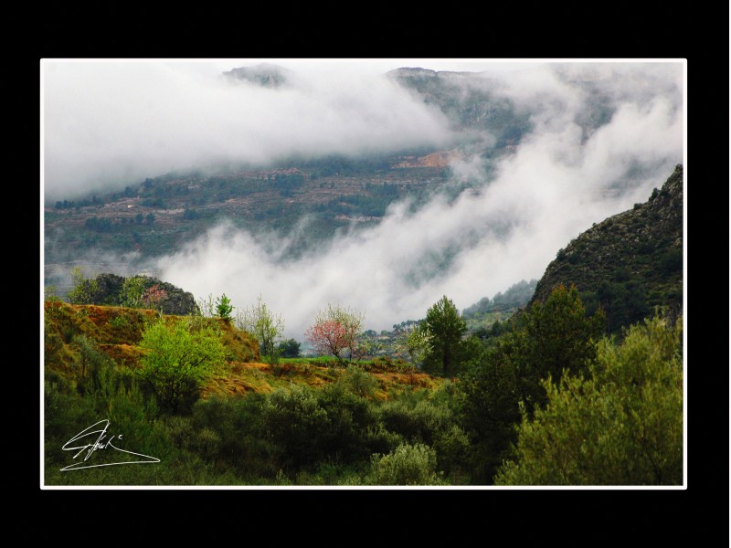 Nieblas por los montes