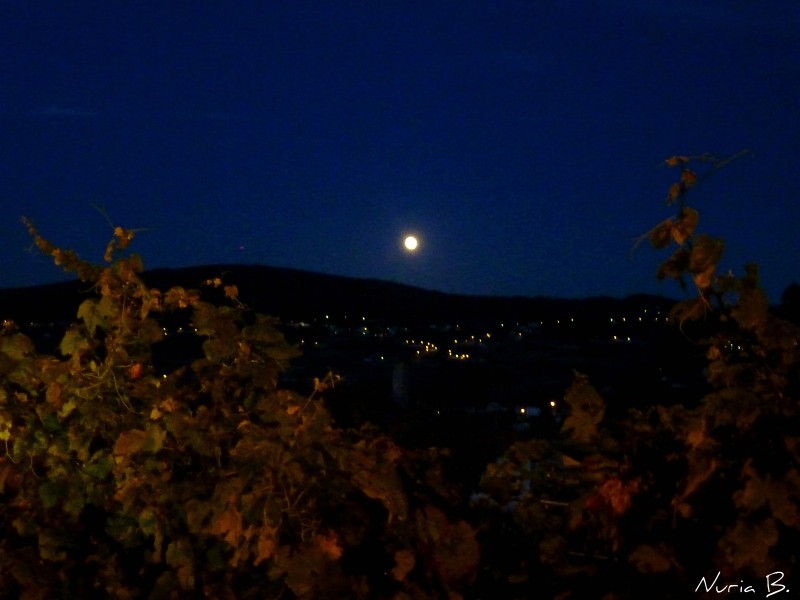 Y entre las parras la luna