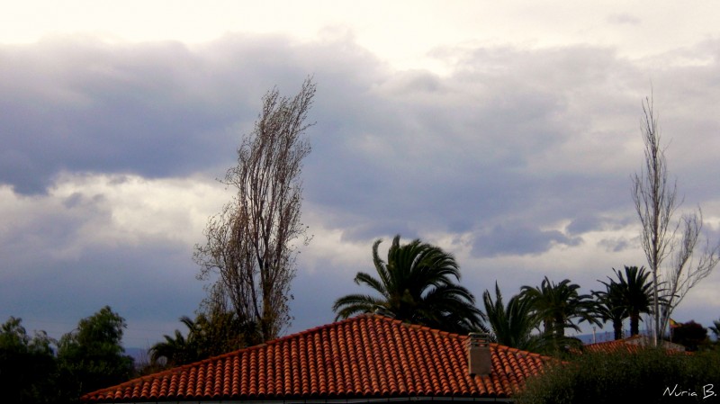 Naturaleza sobre el tejado