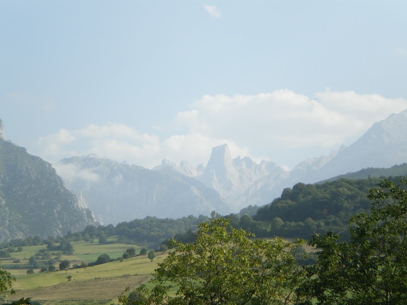 pico  naranjo bulnes