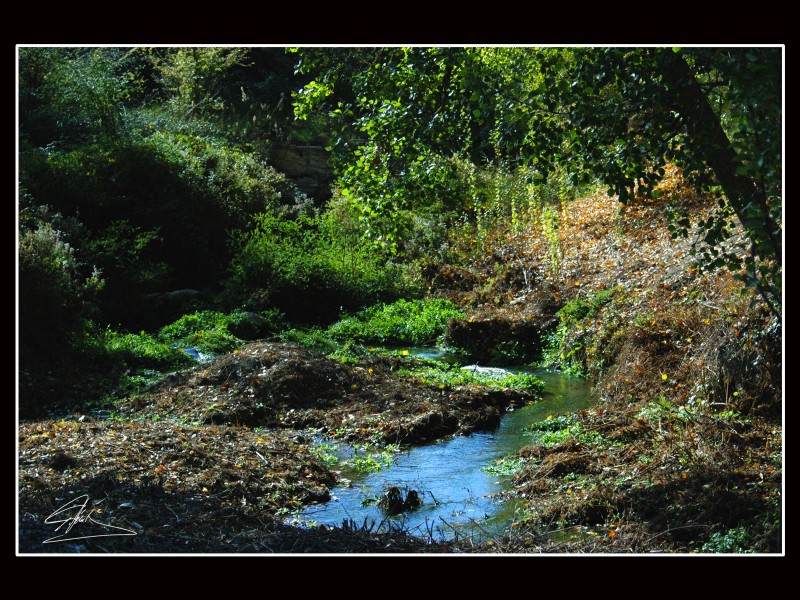 Arroyo invernal