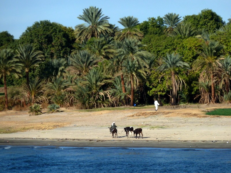 de vuelta al oasis