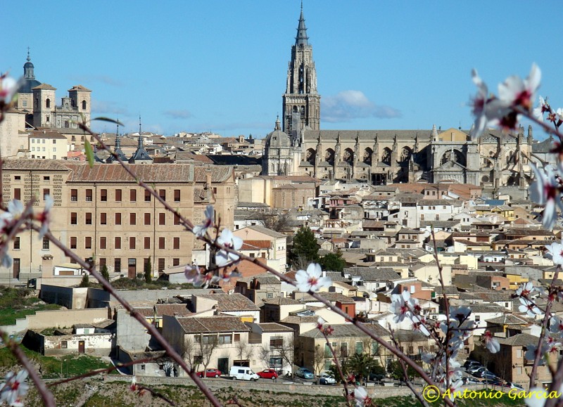 Vista parcial de Toledo Monumental destacando la Catedral