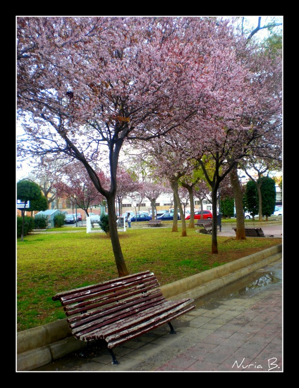 Descansando bajo las flores