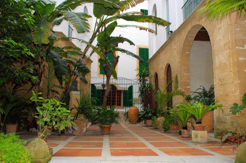 Patio 2