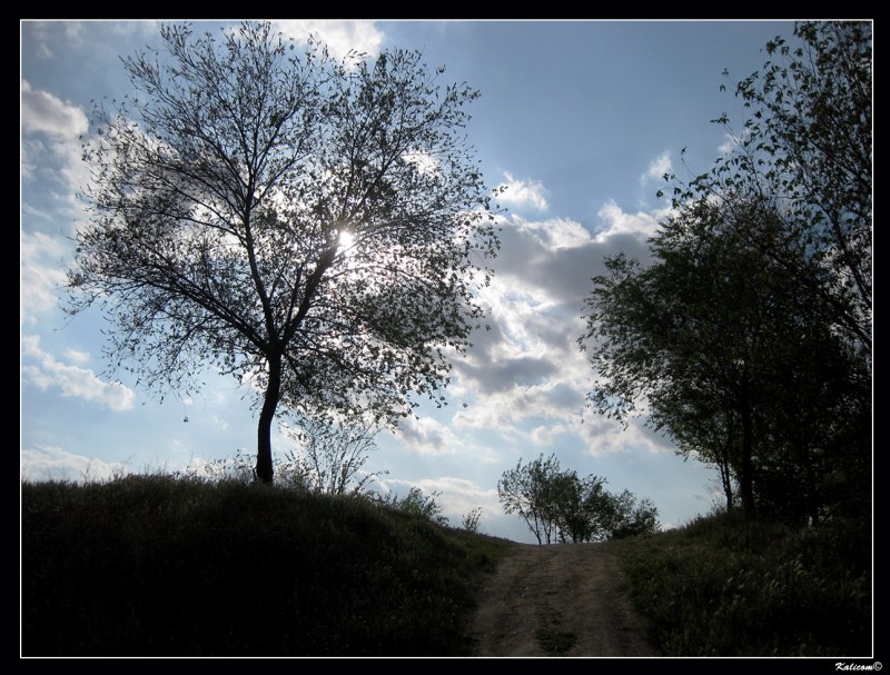 Sendero hacia el atardecer