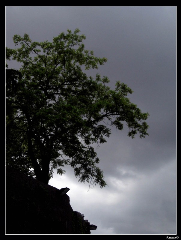 La sombra oscuridad que precede a la lluvia.