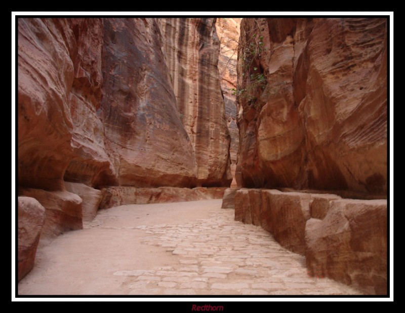 Adentrndose en Petra por el intricado camino