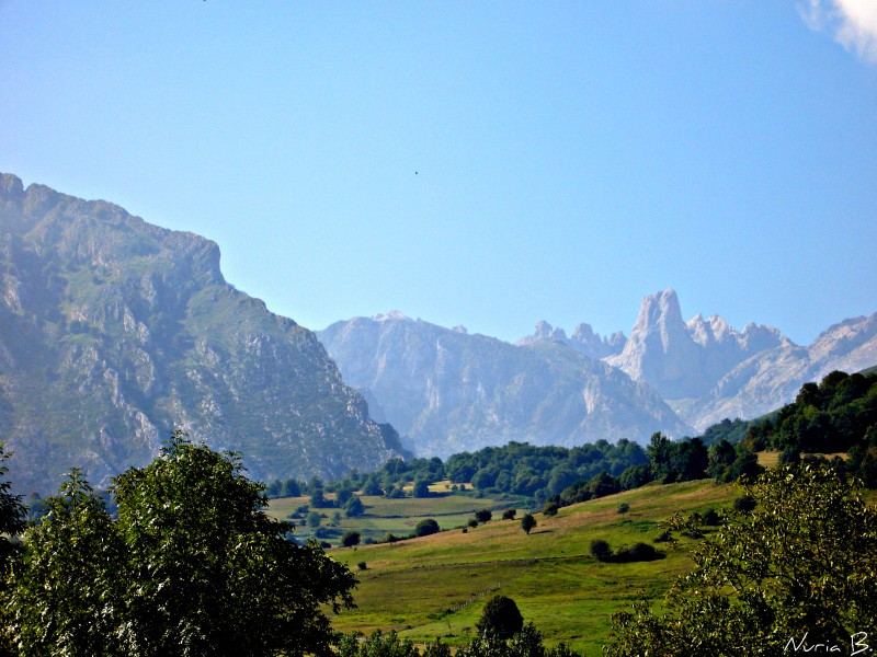 Naranjo de Bulnes