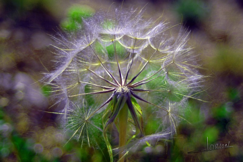 quiero viento para ...volar