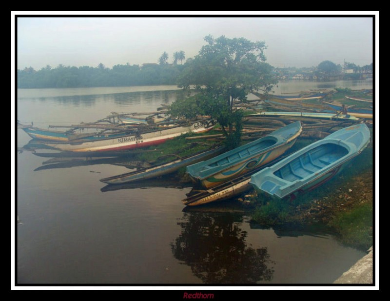 Barcas pescadores entre la niebla