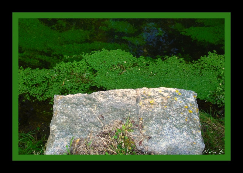 Naturaleza de agua