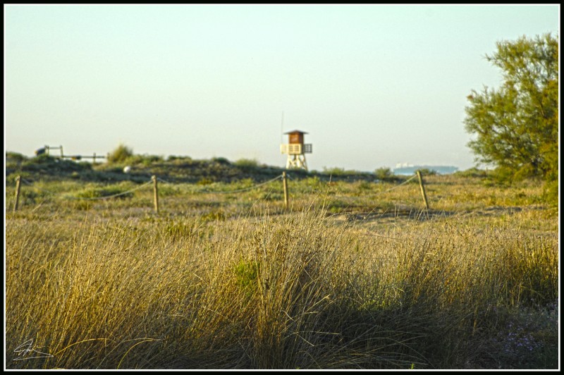 Marina de Almarda