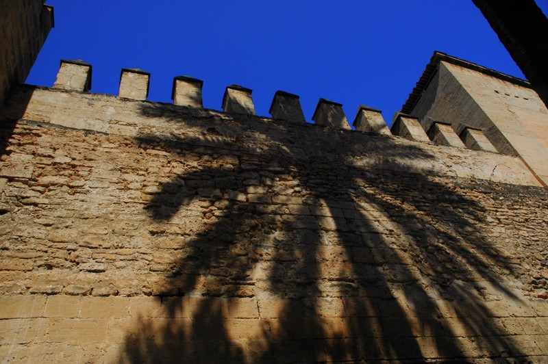 Muralla rabe 3