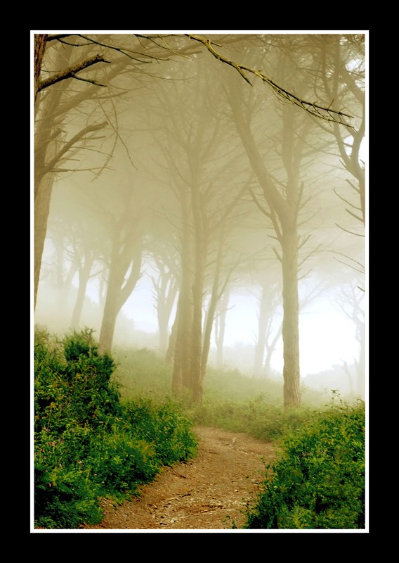 Niebla en el Norte de frica