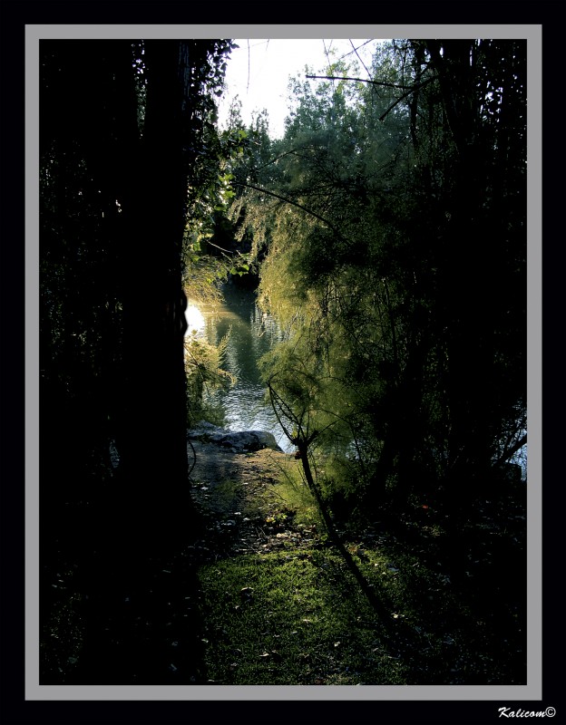 El sendero que lleva al lago