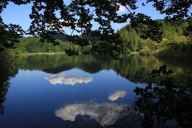 reflejos