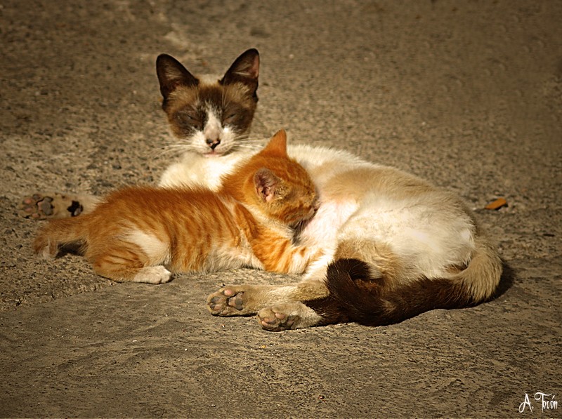 Madre e hijo