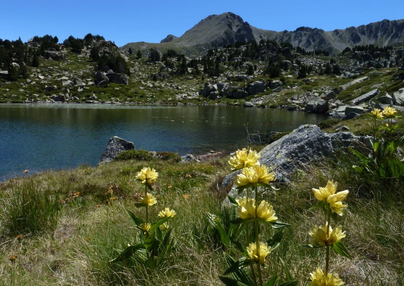 estany de la Solana