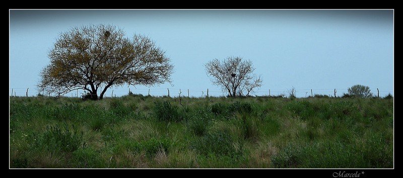 Tardecita con brisas de campo