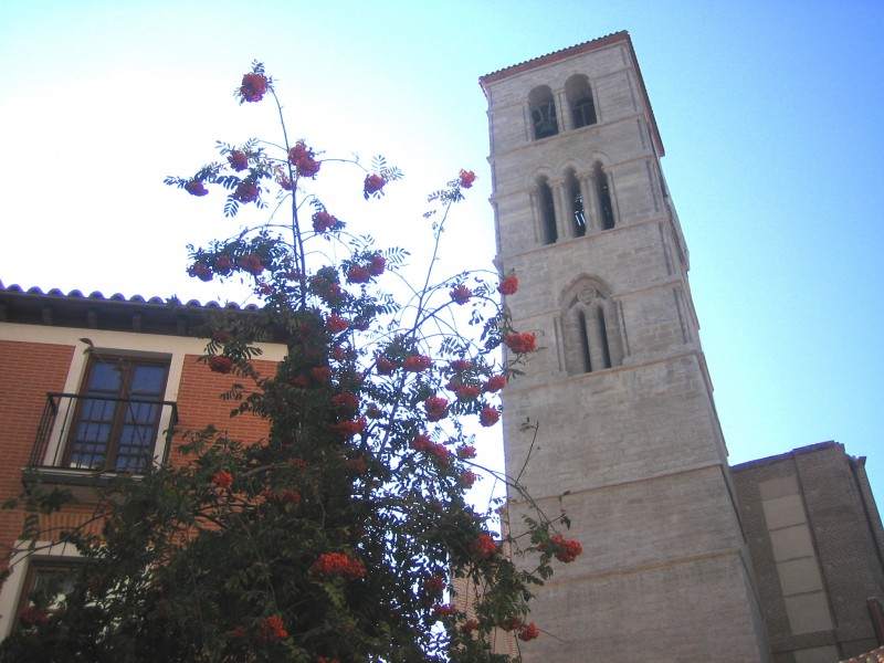 Torre de San Martin