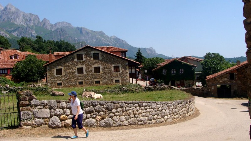 Picos de Europa