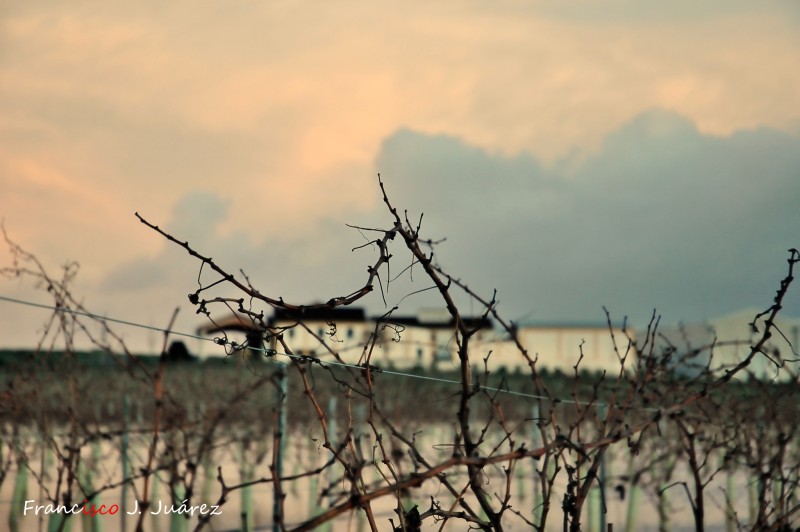 Bodega en otoo