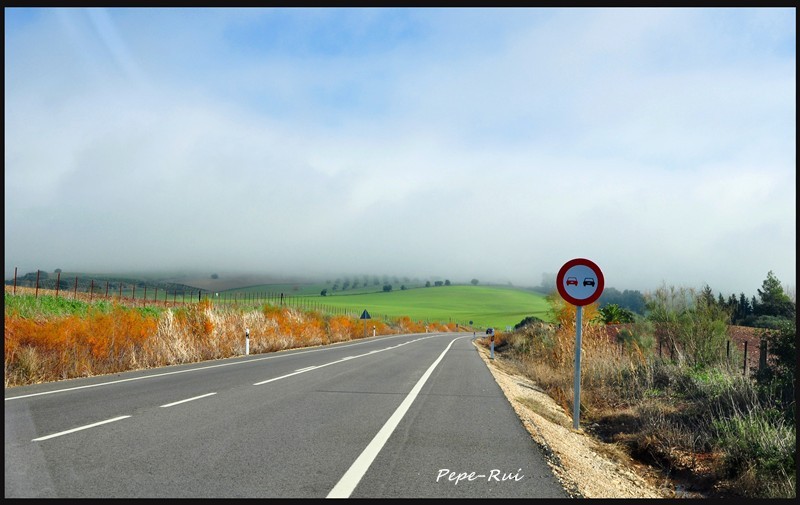 la niebla