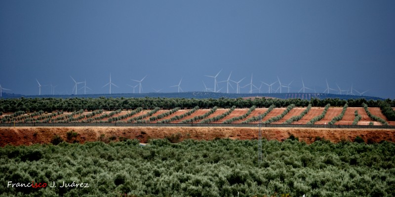 Molinos en el horizonte