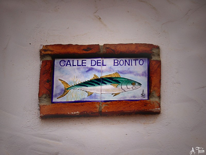 Calle del bonito