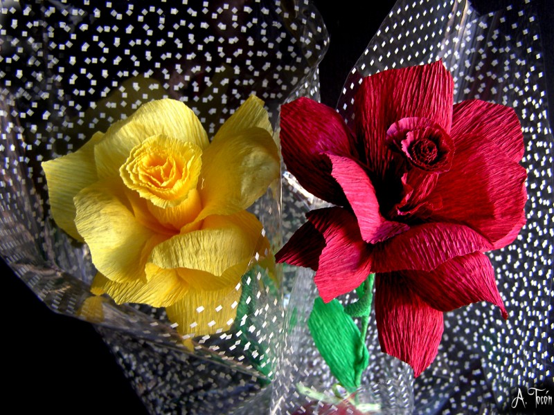 Rosas de papel