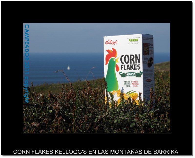 Corn flakes Kellogg\'s en las montaas de Barrika